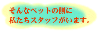 �����y�b�g�N���j�b�N�̃X�^�b�t������`���c